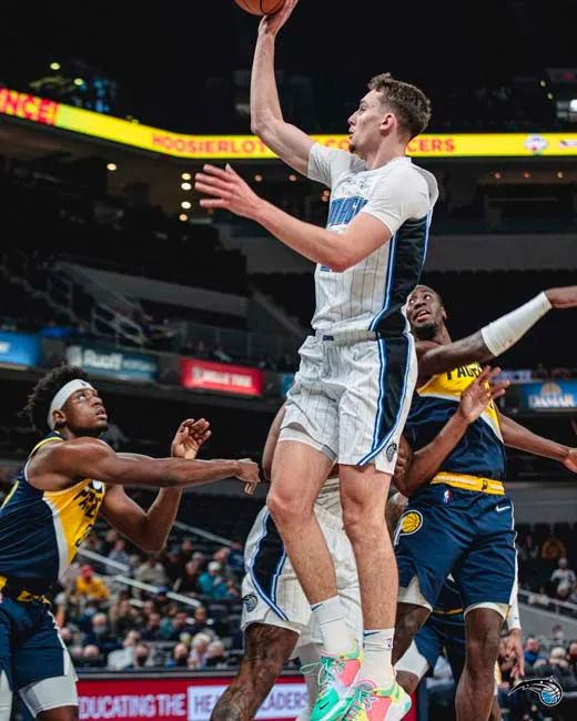 场在组织和 场在组织和