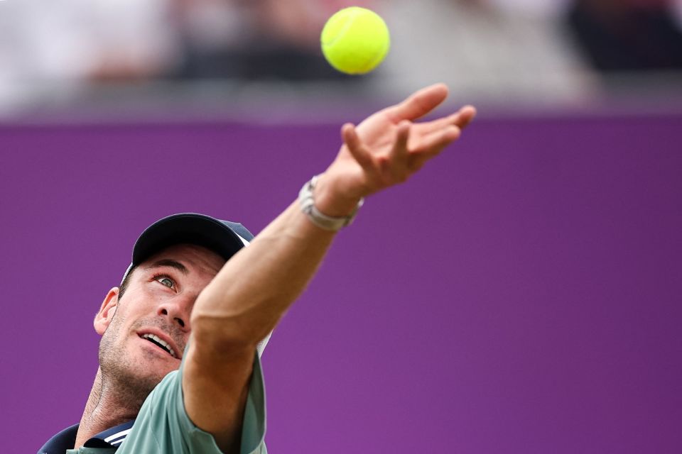 充分利用林 充分利用林