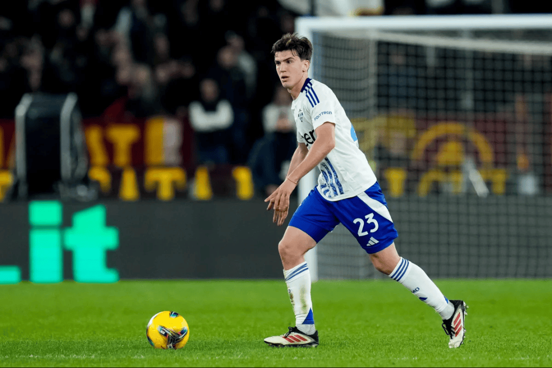 的新年礼物 的新年礼物