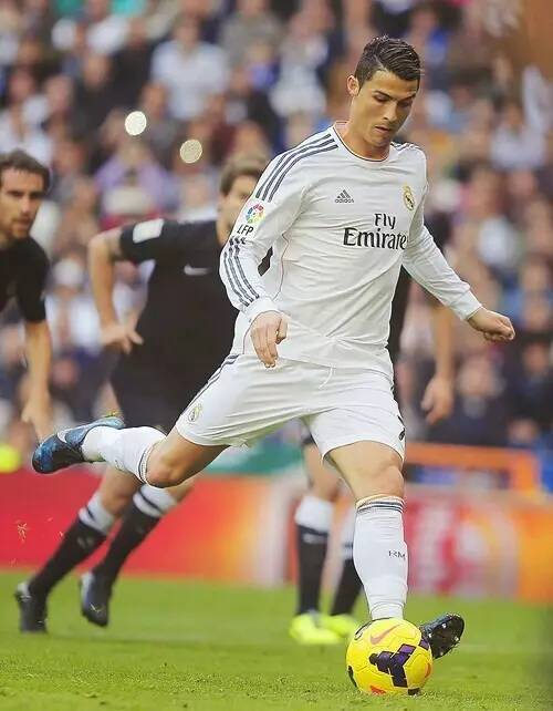 术执行的体 术执行的体